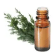 Olio essenziale di Cipresso sempreverde