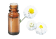 Olio essenziale di Camomilla romana