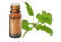 Huile essentielle Mélisse officinale BIO