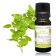 Huile essentielle Marjolaine à coquilles BIO - 5 ml