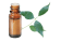  Olio essenziale di Amyris