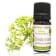 Olio essenziale di Finocchio marino BIO