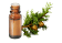 Olio essenziale di Cipresso di Provenza