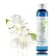 Hydrolat de Myrte de Corse BIO