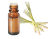 Huile essentielle lemongrass, Cymbopogon flexuosus