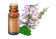 Olio essenziale Salvia sclarea di Provenza BIO