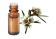  Olio essenziale Fragonia