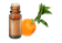 Olio essenziale di Petitgrain Clementine di Corsica BIO