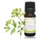 Huile essentielle (Eucalyptus globulus, Pin sylvestre…) ou Fragrance (Aqua’zen, Feuille de Figuier…)