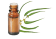 Olio essenziale di Eucalipto cryptone BIO