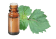 Huile essentielle de Patchouli Pogostemon cablin