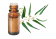 Huile essentielle Eucalyptus citronné