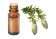  Olio essenziale di Cicuta BIO