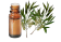 Huile essentielle Tea tree citronné BIO