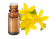  Olio essenziale Iperico BIO
