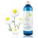 Hydrolat de Camomille romaine BIO