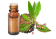 Olio essenziale di Palissandro (Legno di Rosa)