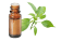 Olio essenziale di Ravintsara (Ravintsare)