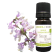 Olio essenziale di Salvia sclarea