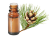 Olio essenziale di pino silvestre Pinus sylvestris