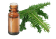 Olio essenziale di Abete bianco