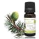 Olio essenziale di Cedro dell'Atlante