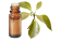 Olio essenziale di Legno di Hô BIO