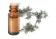  Huile essentielle Genévrier BIO