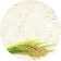 Farina di riso integrale