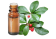 Olio essenziale di Gaultheria