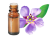 Olio essenziale a scelta (legno di Hô o Geranio d'Egitto o Palmarosa)