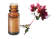 Olio essenziale di Origano compatto BIO