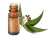 Huile essentielle Eucalyptus globulus BIO