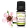Huile essentielle Manuka