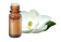 Huile essentielle Magnolia