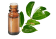 Huile essentielle Cannelle tamala BIO