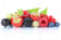 Fruits rouges