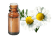 Huile essentielle de Camomille allemande BIO
