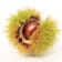 Castagne al naturale