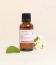  Actif cosmétique Coenzyme Q10