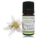 Extrait de fleur Edelweiss BIO