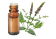 Olio essenziale di Menta verde BIO