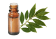 Olio essenziale di Alloro 