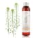 Olio vegetale di Camelina BIO