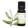 Olio essenziale di Niaouli 