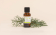 Olio essenziale di Abete siberiano