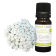 Olio essenziale Carota BIO