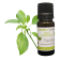 Huile essentielle Ravintsara (Ravintsare) BIO