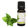 Olio essenziale di Menta piperita