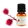 Huile de Ricin BIO